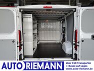 Fiat Ducato, 30 Kasten Regaleinbauten L1, Jahr 2023 - Cloppenburg