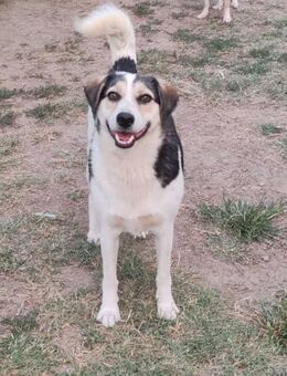 SPENCER möchte mehr vom Leben - Weiterstadt