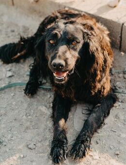 Liebenswerter Flo - Stuttgart