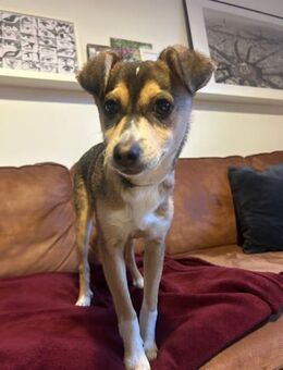 🌞 Felix kleiner Sonnenschein - Kassel