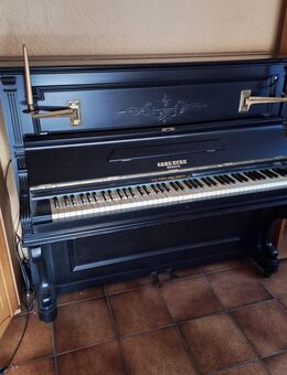 Klavier Carl Ecke - Bad König