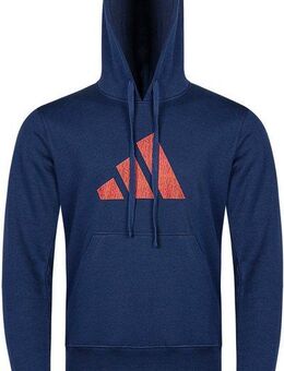 adidas Performance Hoodie Perfo Script Graphic Hoody