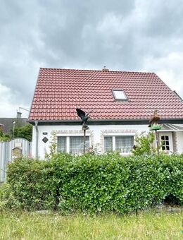 Sanierungsobjekt für Handwerker! EFH in Deichnähe im schönen Dorf Breese - Breese