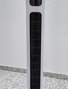 Brandson Turmventilator Preisträger 25 - Müllheim