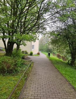 Singles aufgepasst! Saniertes Appartement im Souterrain eines gepflegten Mehrfamilienhauses - Remscheid