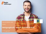 Reinigungskraft / Minijob Aushilfe (m/w/d) - Pfungstadt