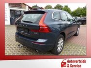 Volvo XC60 Autom.,Leder,Tempo. Sitzh. AHK - Potsdam