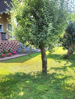Einfamilienhaus mit Einliegerwohnung. Ohne Makler - Breidenbach