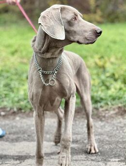 FELIX - laß uns mit Elan neu anfangen - Overath