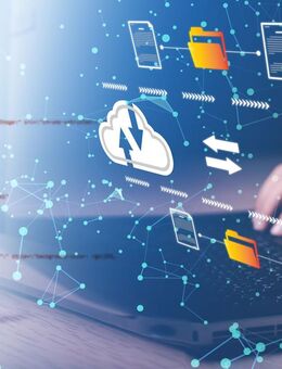 Migration Shopware 5 zu Shopware 6 - Schliengen