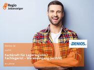 Fachkraft für Lagerlogistik / Fachlagerist – Wareneingang (w/m/d) - Löhne