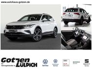 VW Tiguan, 1.5 TSI Life Winterpaket, Jahr 2023 - Zülpich