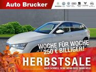 Skoda Scala Active 1.6 TDI+Klimaanlage+el.Fensterheber+LED+Alu - Marktredwitz