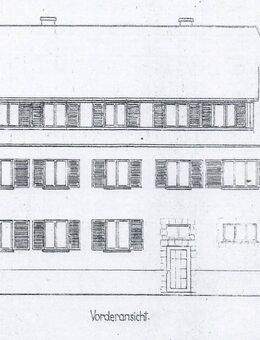 Preis gesenkt! Gut vermietetes, modernisiertes Mehrfamilienhaus im historischen Ortskern von Birkenau - Birkenau