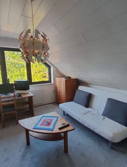 Helles 1 Zimmer Appartement mit Wohnküche - Nähe Rubbenbruchsee - Osnabrück