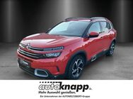 Citroën C5, Aircross Shine, Jahr 2019 - Weinheim