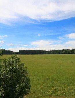 Seltene Gelegenheit! Phantastischer Blick und idyllische Ruhe im Außenbereich von Bad Wörishofen - Bad Wörishofen