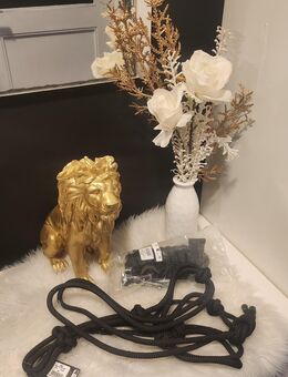 Halfter & Strick Neu von MKH - Stockelsdorf