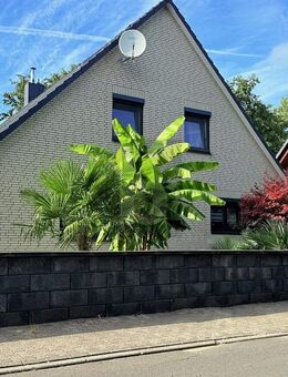 LICHTDURCHFLUTET, PALMENGARTEN, WINTERGARTEN - Brunsbüttel