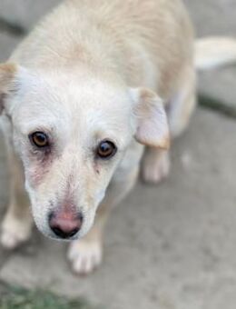 Ich heiße Mari. - Alfdorf