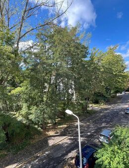 Wohnen im Grünen...helle, moderne 3 - Zimmer-Wohnung mit Einbauküche sofort einzugsfertig - Zwickau