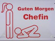 Minderwertiges Männlein - Luzern