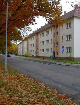Forst, 2-Raumwohnung am Freibad, Nähe Rosengarten - Forst (Lausitz)