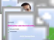 Elektroniker oder Mechatroniker als Servicetechniker für Krananlagen (w/m/d) - Dettenheim