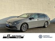 VW Golf, VIII Var Active, Jahr 2023 - Torgau