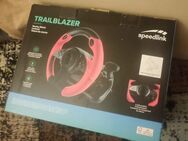 PlayStation 4-Controller Lieferung Sofort - Schweinfurt