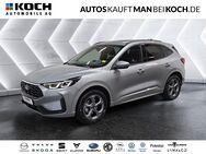 Ford Kuga, 1.5 ST-Line R, Jahr 2024 - Berlin