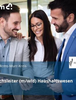 Fachbereichsleiter (m/w/d) Haushaltswesen - Waiblingen