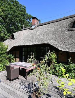 Reetgedecktes Bauernhaus auf herrlichem Grundstück - Oldenburg