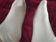 Socken von MILF 40 - Unna