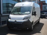 Opel Movano, C Cargo L3H2, Jahr 2024 - Hachenburg