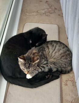 ♡ ganz viel Liebe im Doppelpack ♡ - Witten