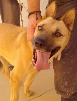 TUBI - eine starke Persönlichkeit...... - Kempen