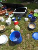 Ca. 200 Blumen / Übertöpfe - - Allgäu - TOM in 80335