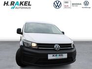 VW Caddy, 2.0 TDI Kasten EcoProfi, Jahr 2019 - Geeste