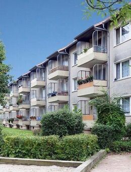 Frisch saniert: Willkommen im neuen Zuhause! - Braunschweig