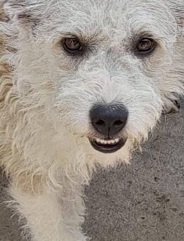 ALISHA ❤ - Langenhagen