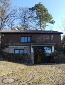 Einzigartiger Ausblick inmitten der Natur auf dem Branich in Schriesheim! - Schriesheim