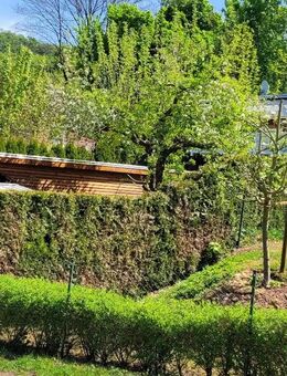 Moderner Bungalow in idyllischer Naturlage - Ihr neues Zuhause in Hainrode - Bleicherode Zentrum