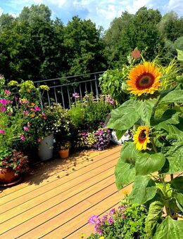 Penthouse Schwerin - Schwerin