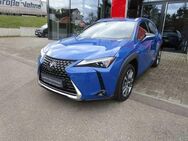 Lexus UX 300e Luxury Line Navi/Leder - Nürtingen