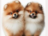Außergewöhnliche Hunde Notizbücher von Kathleen Baron, für jede Hunderasse, jetzt bei Amazon, schöne Geschenkidee für Hunde Liebhaber - Spremberg