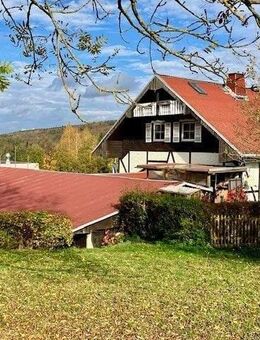 Familien-Idyll UND Firmen-Domizil - Rodewisch