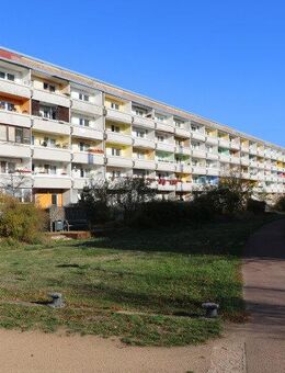 PREISAKTION - Dessau-Roßlau