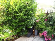 Sportliche Bewegung statt Gartenarbeit - Weinstadt