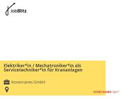 Elektriker*in / Mechatroniker*in als Servicetechniker*in für Krananlagen